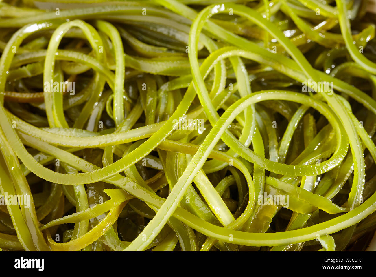 boiled kelp or kombu strips, a classic Asian ingredient Stock Photo