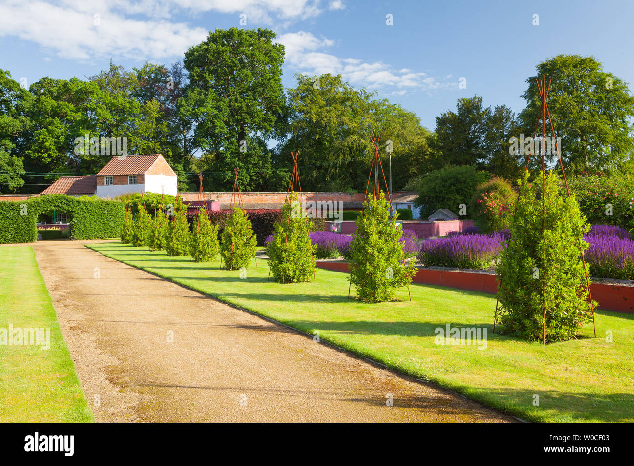 UK Weather: A bright morning at Elsham Gardens and Country Park. Elsham, North Lincolnshire, UK. 21st June 2019. Stock Photo