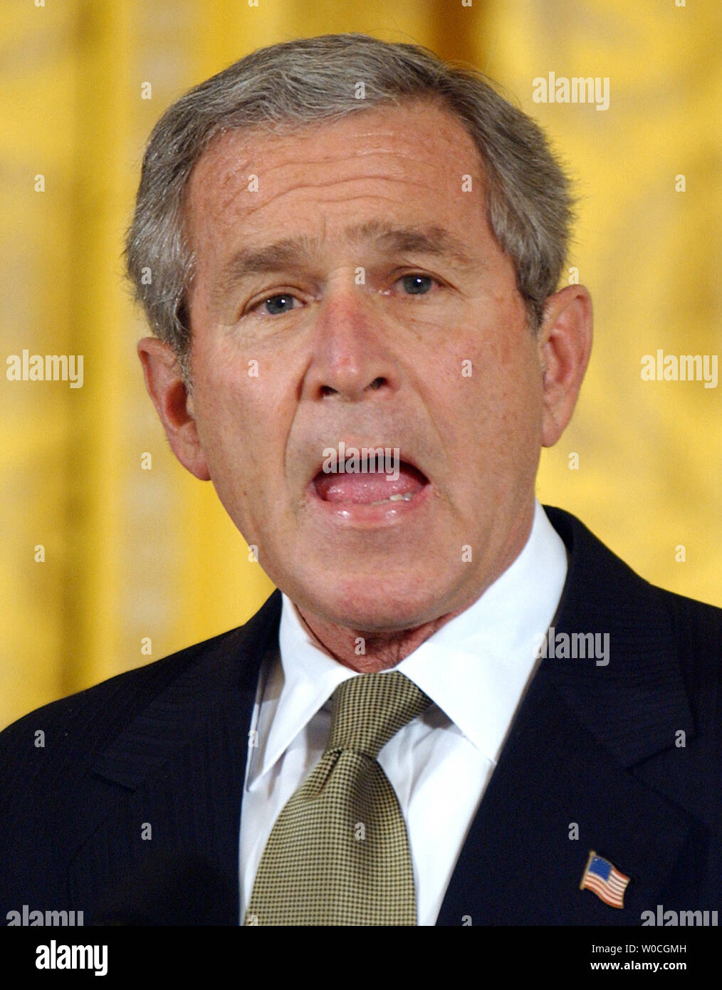 U.S. President George W. Bush speaks to guests during a ceremony to award former CIA Director George Tenet, retired U.S. Gen. Tommy Franks and former Iraq administrator L. Paul Bremer (l to r) the Presidential Medal of Freedom on Dec. 14, 2004.   (UPI Photo/Roger L. Wollenberg) Stock Photo