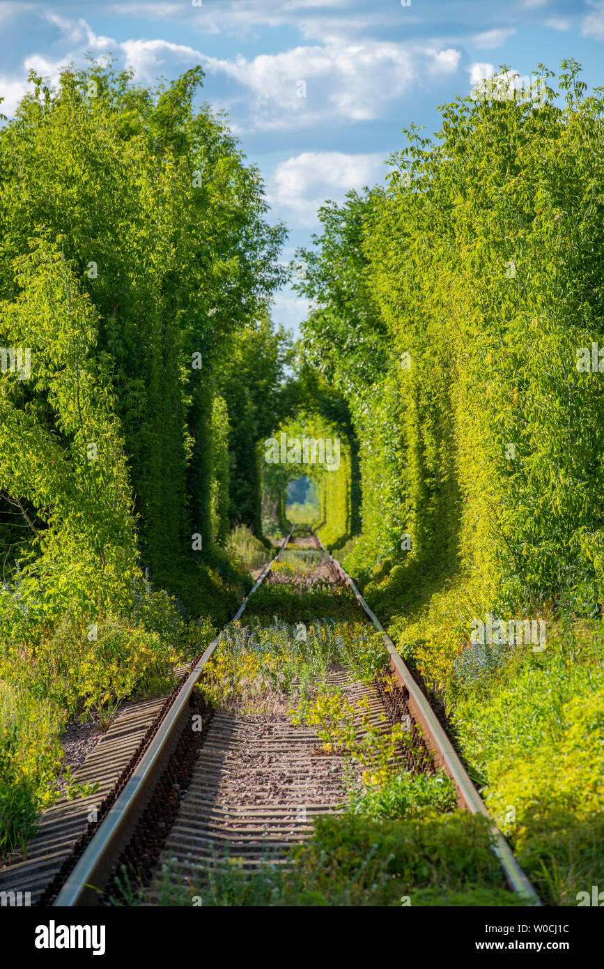 Sunny railroad tunnel through the trees. Famous Tunnel of Love in Ukraine Stock Photo