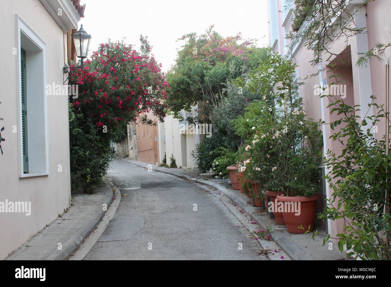 an empty quiet street in athens with shrubs and trees in pots lining the road Stock Photo