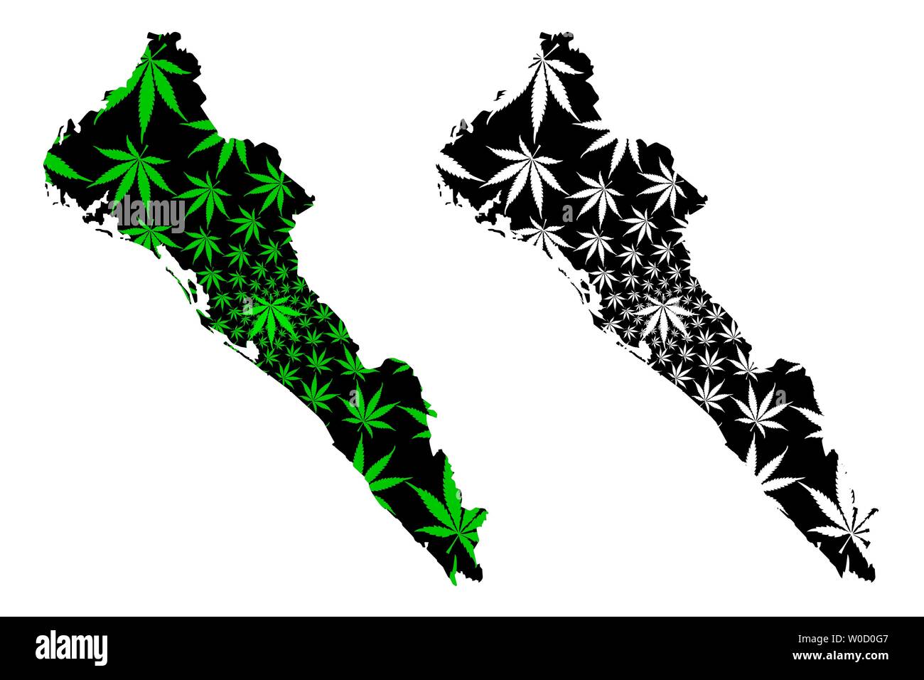 Sinaloa (United Mexican States, Mexico, federal republic) map is designed cannabis leaf green and black, Free and Sovereign State of Sinaloa map made Stock Vector