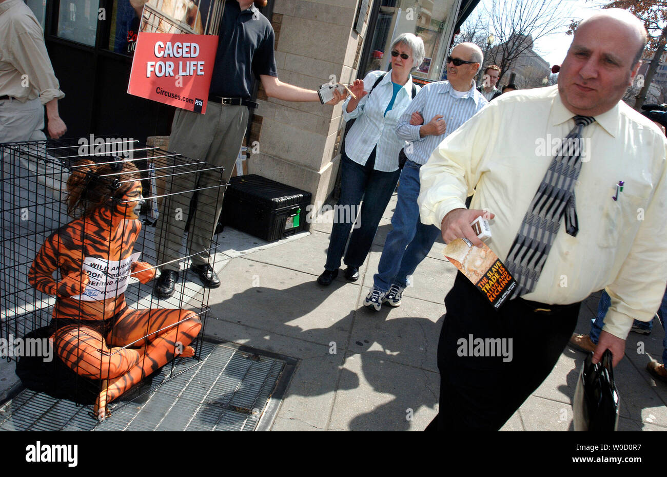 People for the Ethical Treatment of Animals (PETA) volunteer Amy Jannette, dressed as a tiger and sitting in a cage, participates in a PETA protest of Ringling Brothers and Barnum & Bailey Circus, in Washington on March 10, 2006. PETA claims that the circus treats their animals in inhumane ways including cramped living conditions, sever beatings and other cruel acts. (UPI Photo/Kevin Dietsch) Stock Photo