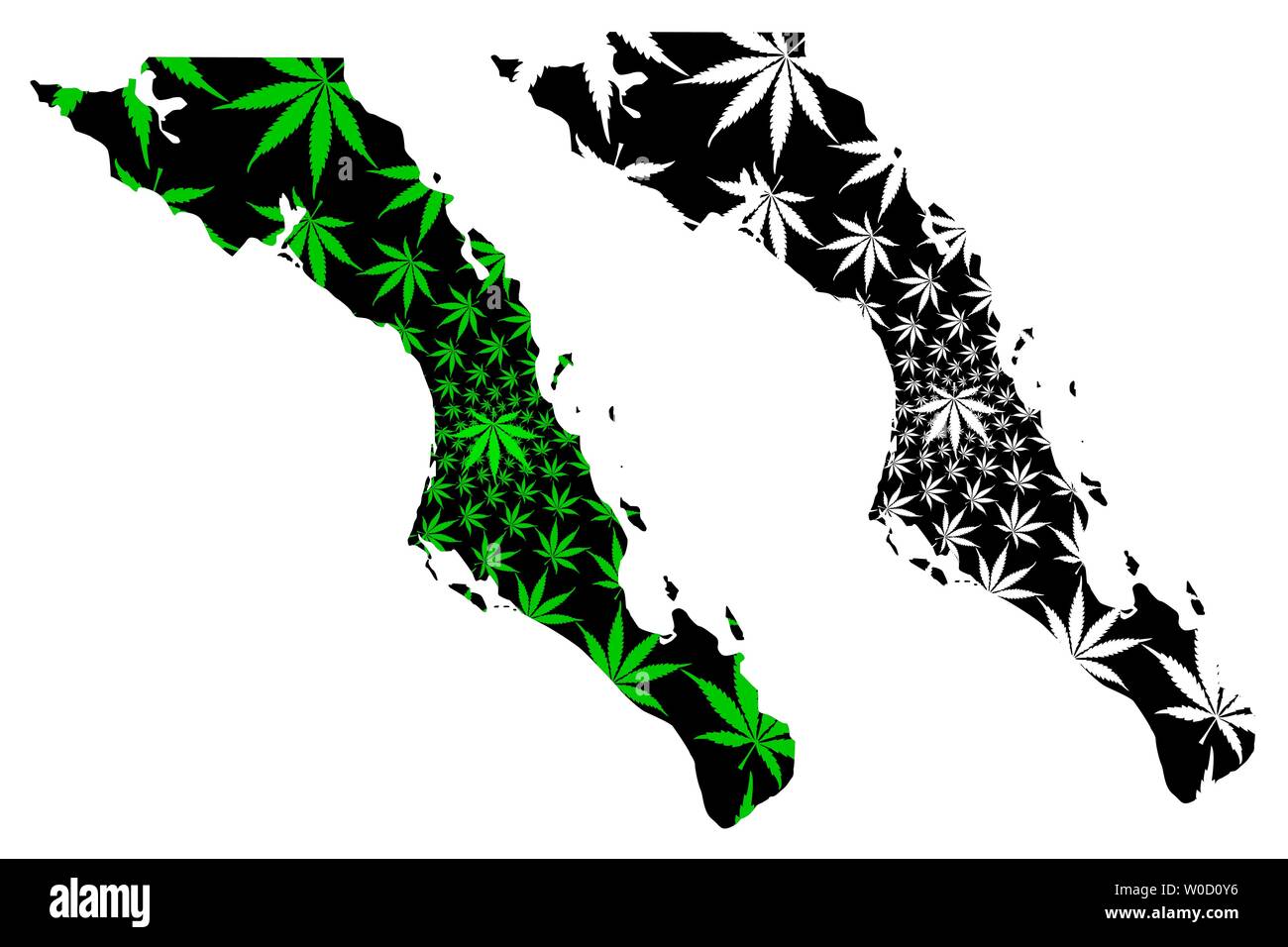 Baja California Sur map is designed cannabis leaf green and black, Estado Libre y Soberano de Baja California Sur (El Territorio Sur de Baja Californi Stock Vector