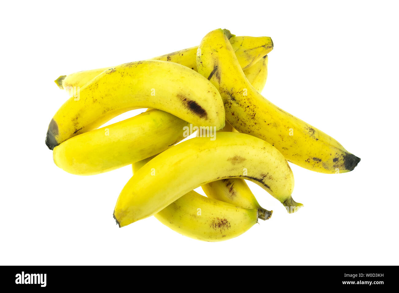 Green Raw Cavendish Banana Fresh Bunch Gros Michel Fruits Growing Stock  Photo by ©AirUbon 225819962