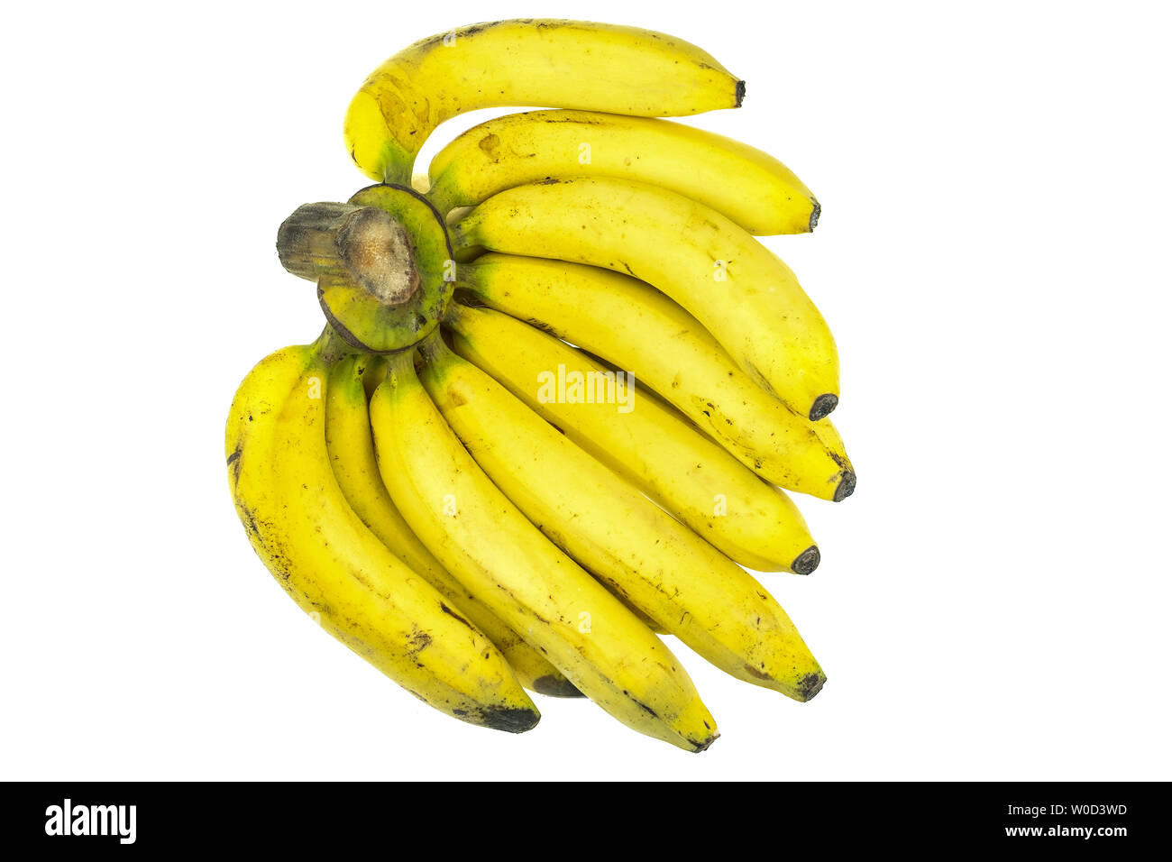 Gros michel banana hires stock photography and images Alamy