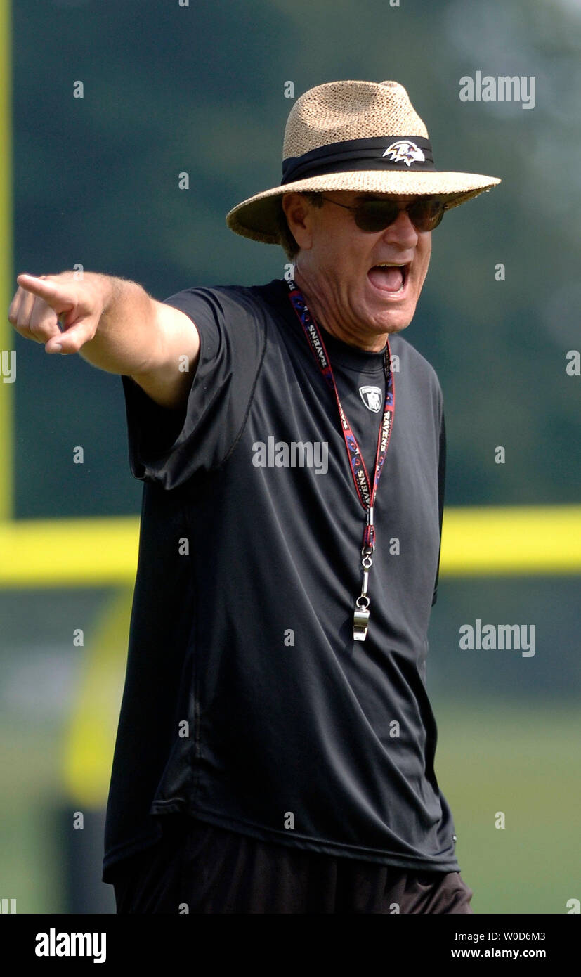 Baltimore ravens hat hi-res stock photography and images - Alamy