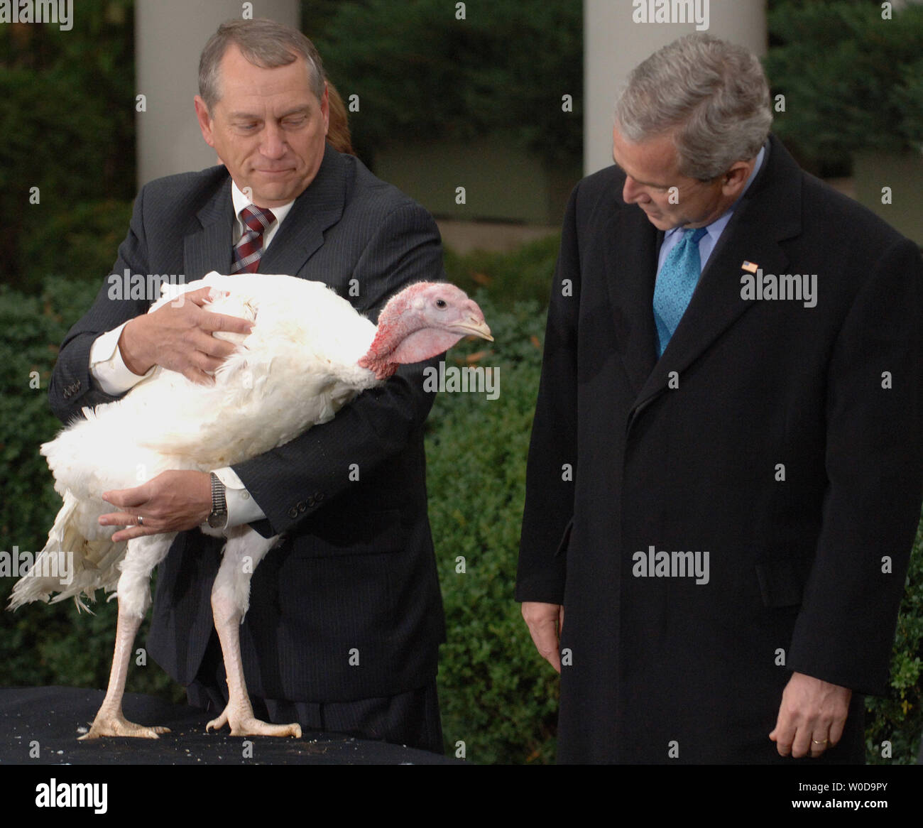 Countdown thanksgiving 2024