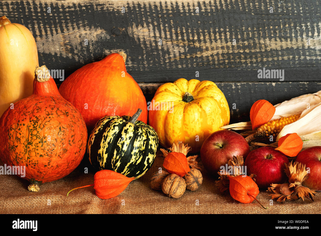 Autumn harvest. Pumpkins, corn, apples, nuts and orange flowers on a jute bag with a background of old planks. Stock Photo