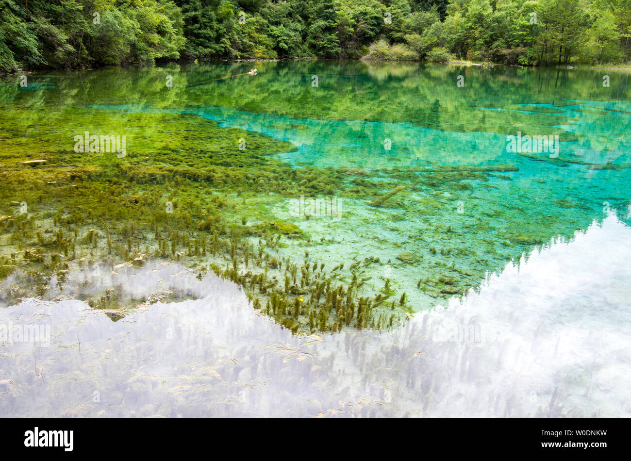 Huanglong Scenery in Jiuzhaigou, Sichuan Stock Photo