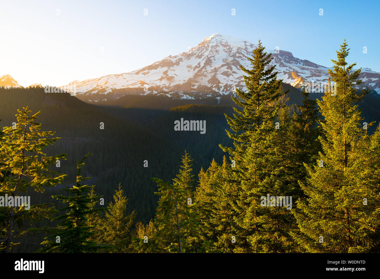 Mount Rainier at Mount Rainier National Park, Washington State, USA Stock Photo
