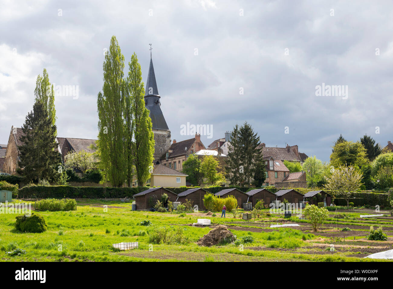 tæmme Van Ruckus allotments located in L'Aigle, Orne, Normandy, France Stock Photo - Alamy