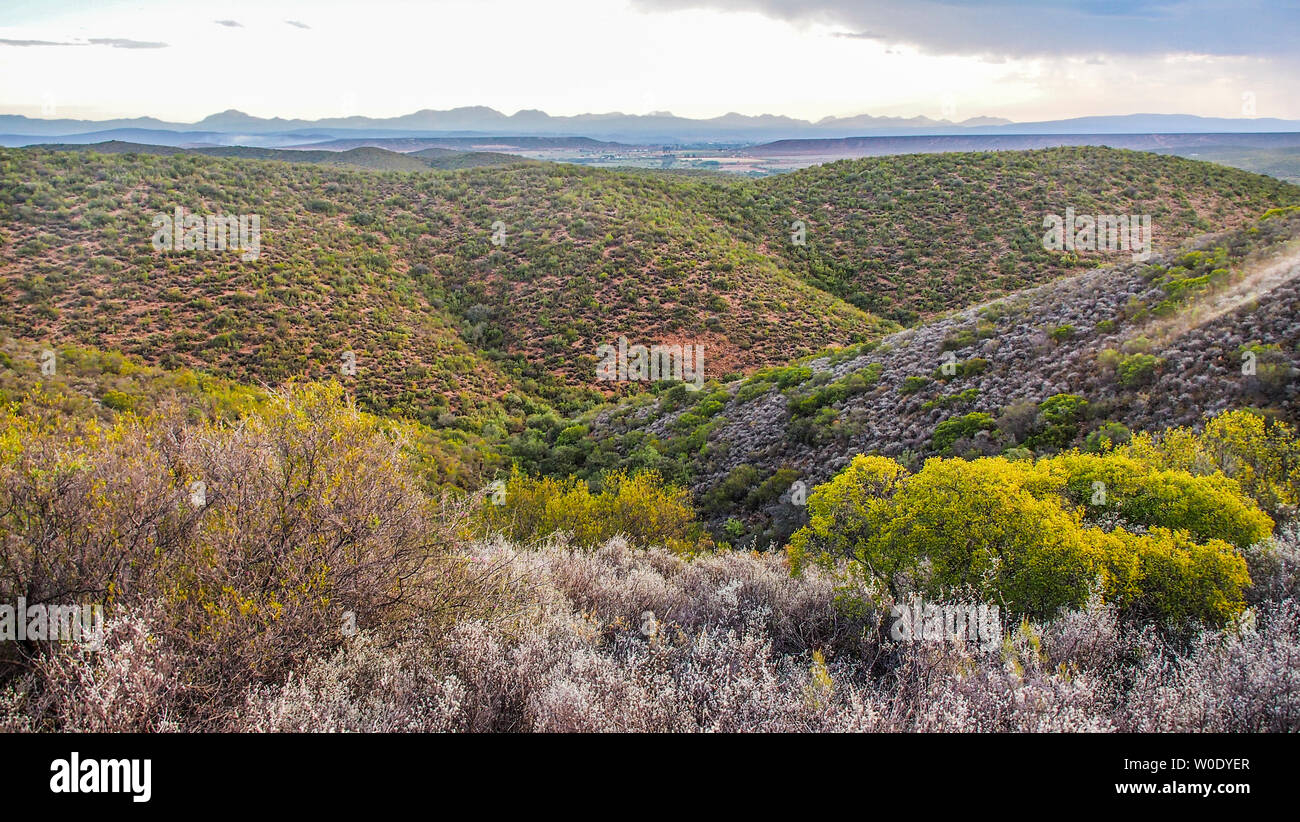 South Africa, Western Cape province, hills in the Klein Karoo, Oudtshoorn Stock Photo