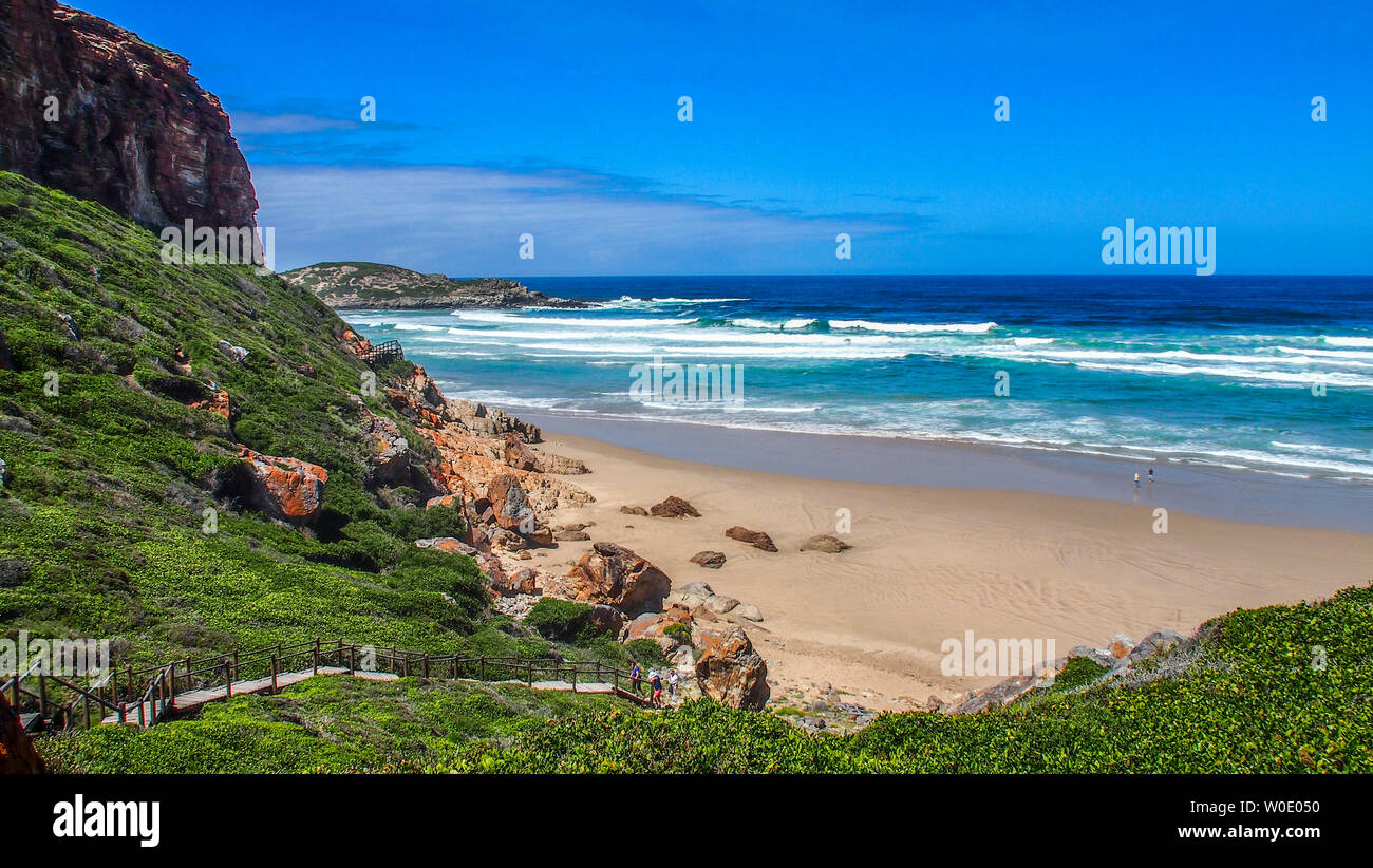South Africa, Garden Route, trail by the Indian Ocean, Plettenberg Stock Photo