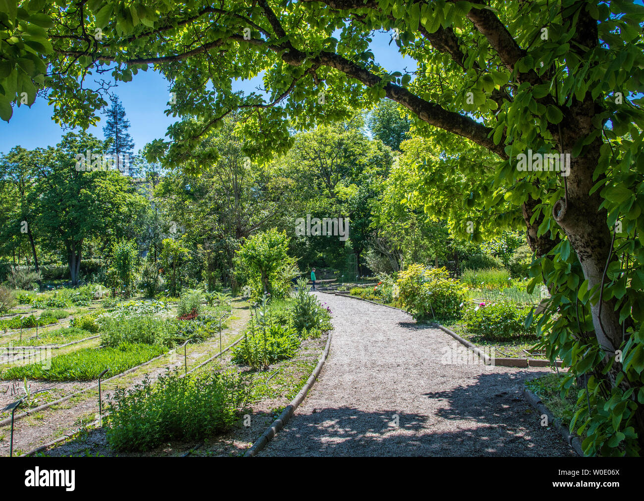 France, Gironde, Bordeaux, botanical garden of the Jardin Public Stock  Photo - Alamy