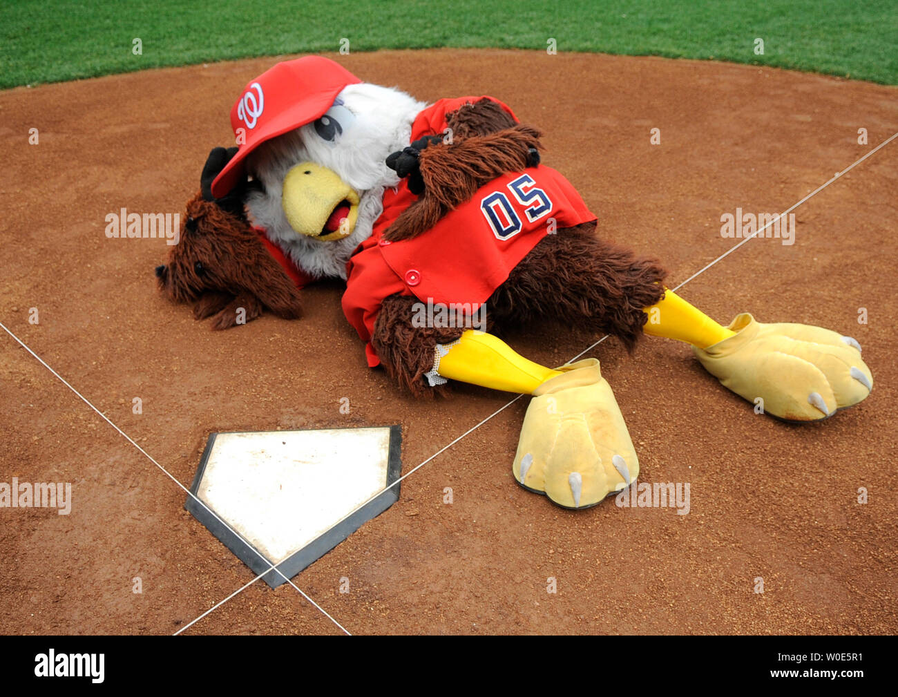 Washington nationals mascots hi-res stock photography and images - Alamy