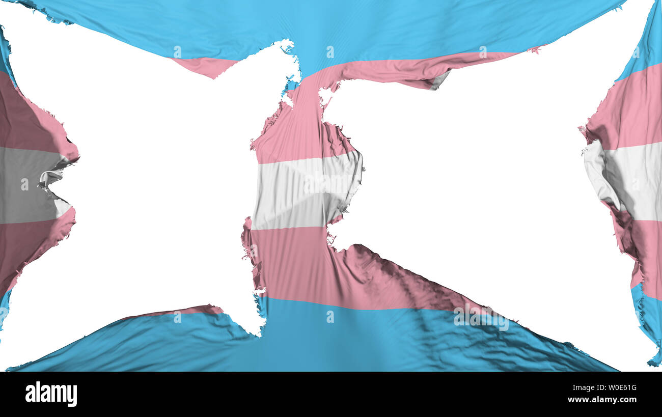 Flag of Transgender Pride