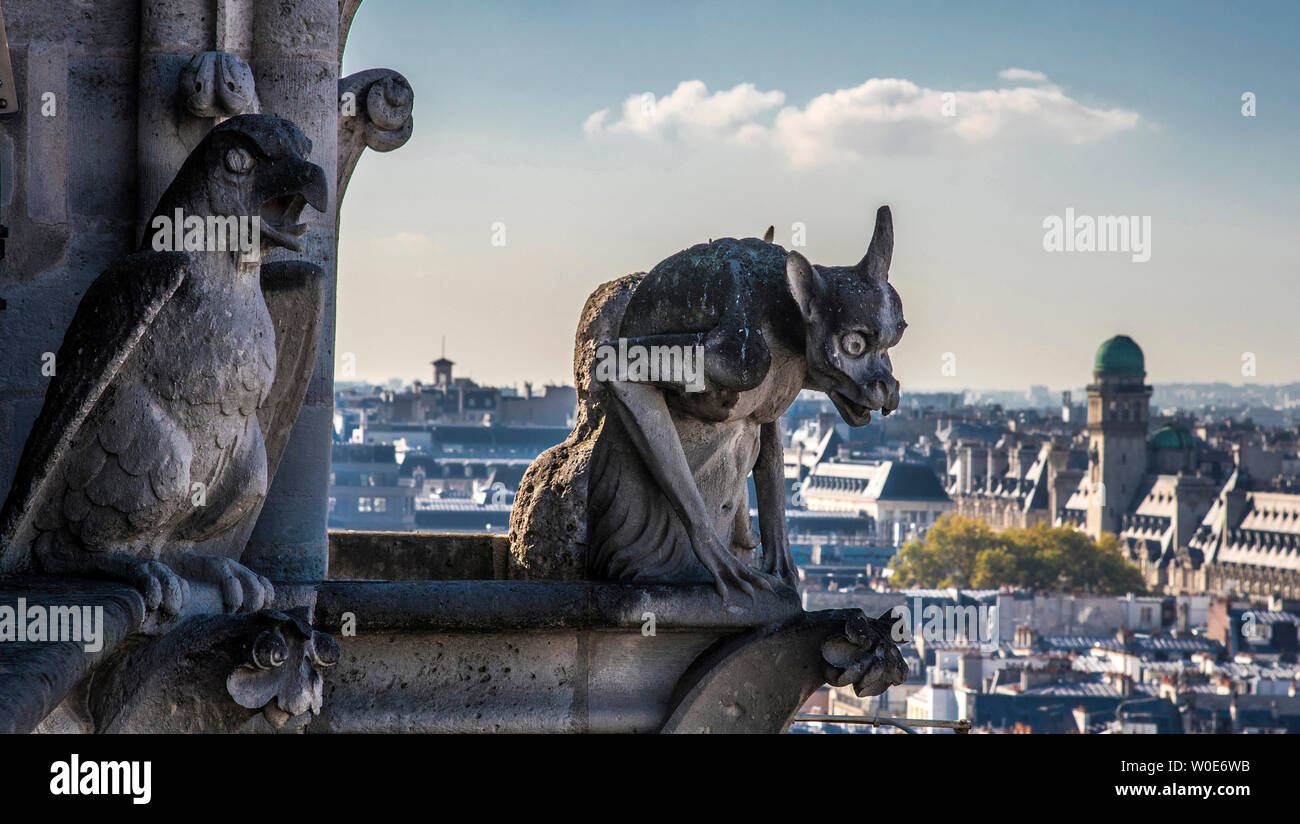 France, Paris, 4th arrondissement, Ile de la Cité, fanciful animals sculpted on a tower of the Cathedral Notre-Dame Stock Photo