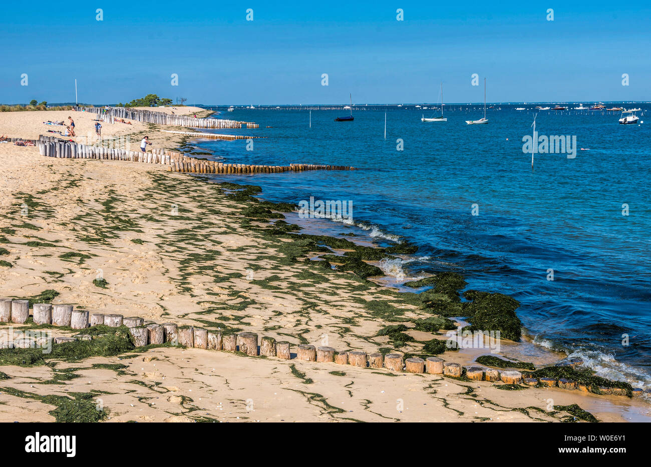 France, Gironde, Arcachon Bay, Pointe du CapFerret, shoal of the