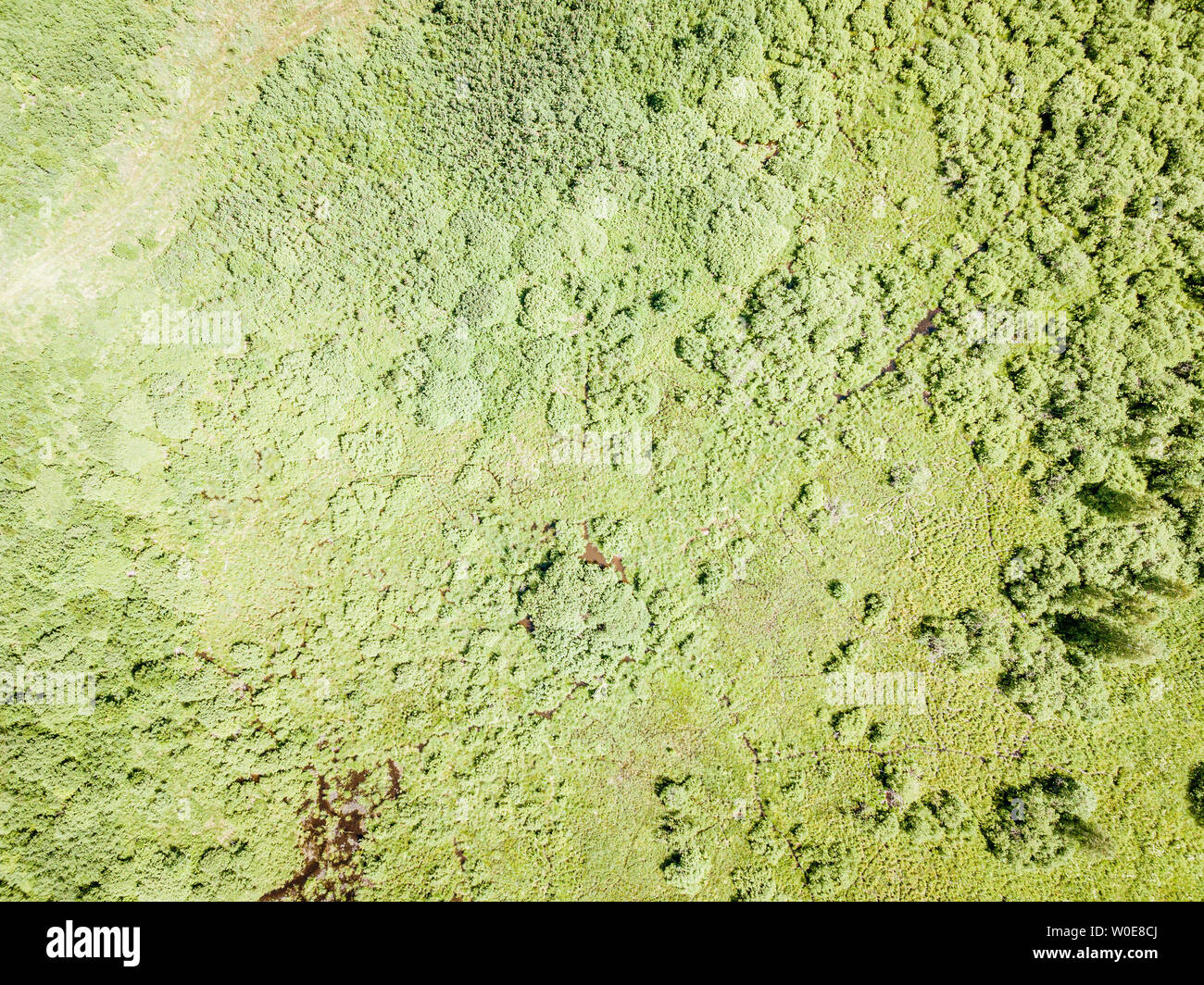 Aerial view endless green mountain hi-res stock photography and images ...
