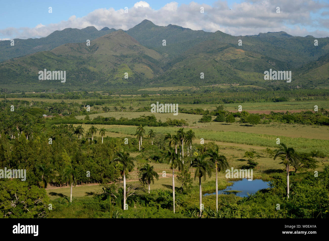 cuba, Trinidad area, view on a landscape made of mountains and palm trees, the Ingenios valley Stock Photo