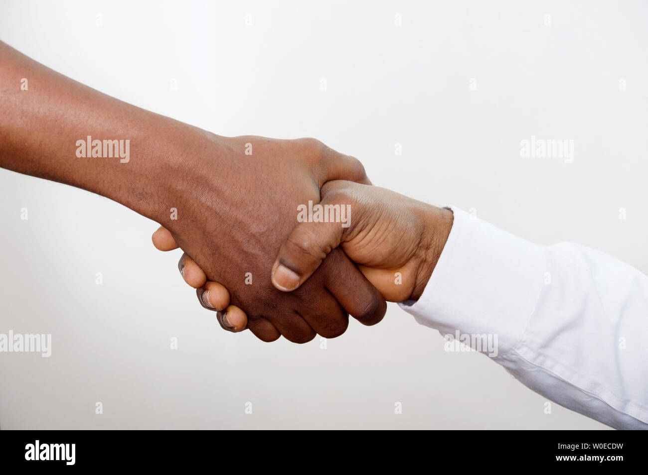 two businessmen welcomed for their good work team Stock Photo