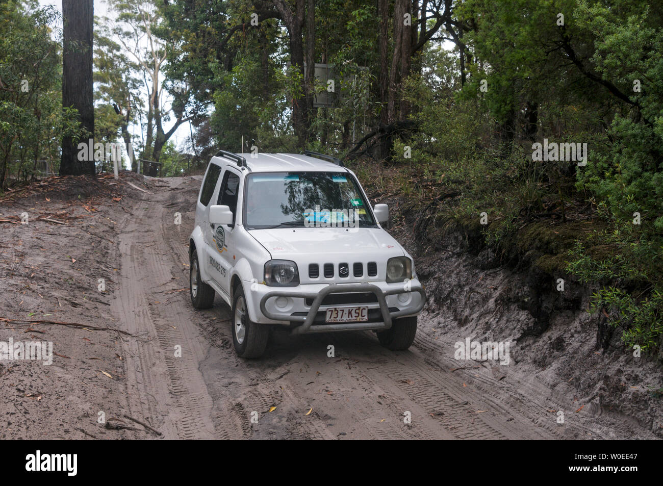 A tourist hired  jeep being driven along a sandy track in the rain forest on Fraser Island off the coast of Queensland in Australia.   Fraser Island i Stock Photo