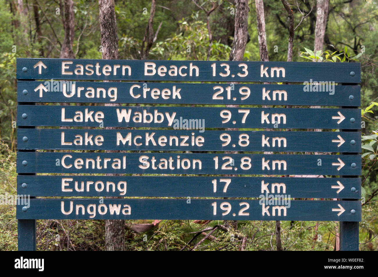 One of the road signs deep in the rain forest along a sandy track on Fraser Island off the coast of Queensland in Australia.   Fraser Island is a Worl Stock Photo