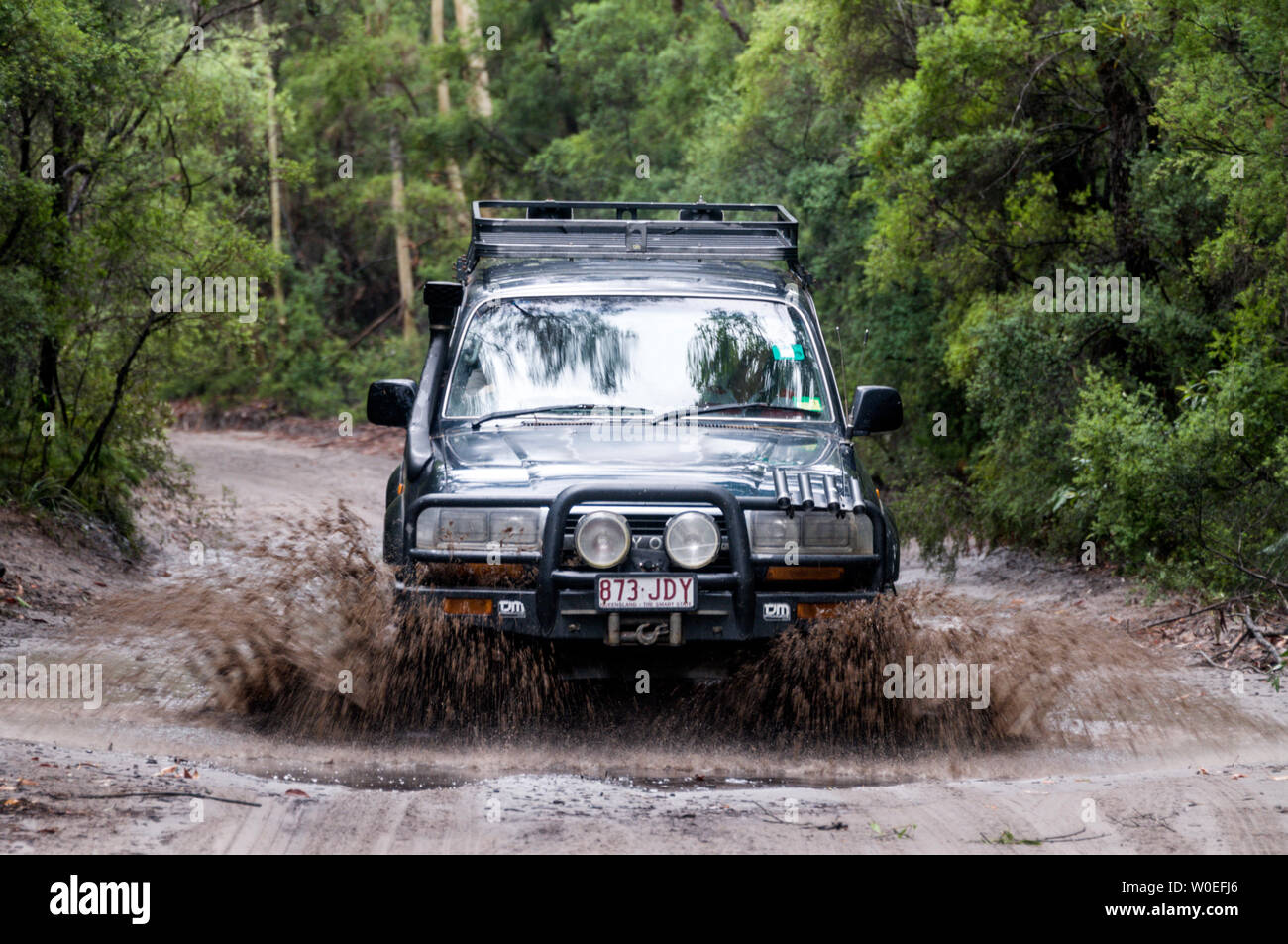 A privately owed  4Wd vehicle ploughing  through water filled holes along a sandy track, deep in the rain forest on Fraser Island off the coast of Que Stock Photo