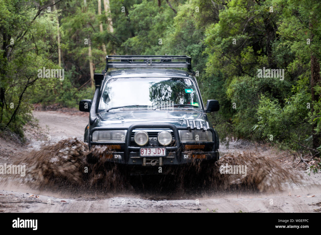 A privately owed  4WD vehicle ploughing  through water filled holes along a sandy track, deep in the rain forest on Fraser Island off the coast of Que Stock Photo