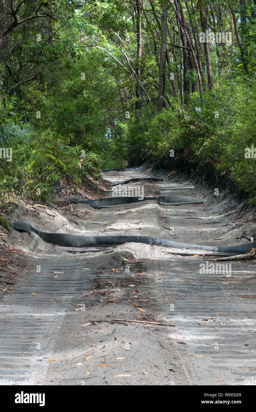 A sandy track with laid rubber mats over soft sand in the rain forest on Fraser Island off the coast of Queensland in Australia.   Fraser Island is a Stock Photo