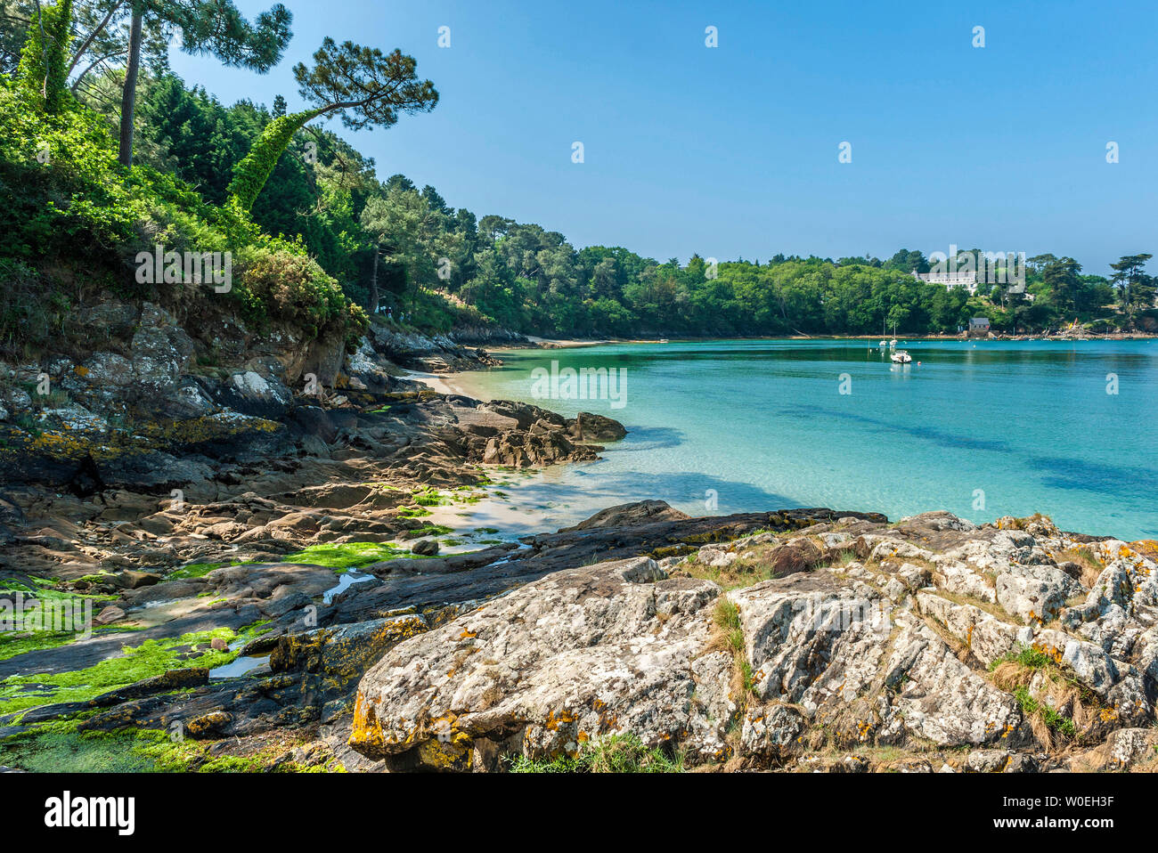 France, Brittany, Ria de Belon, Kerfany les Pins, Anse du Gorjen Stock  Photo - Alamy