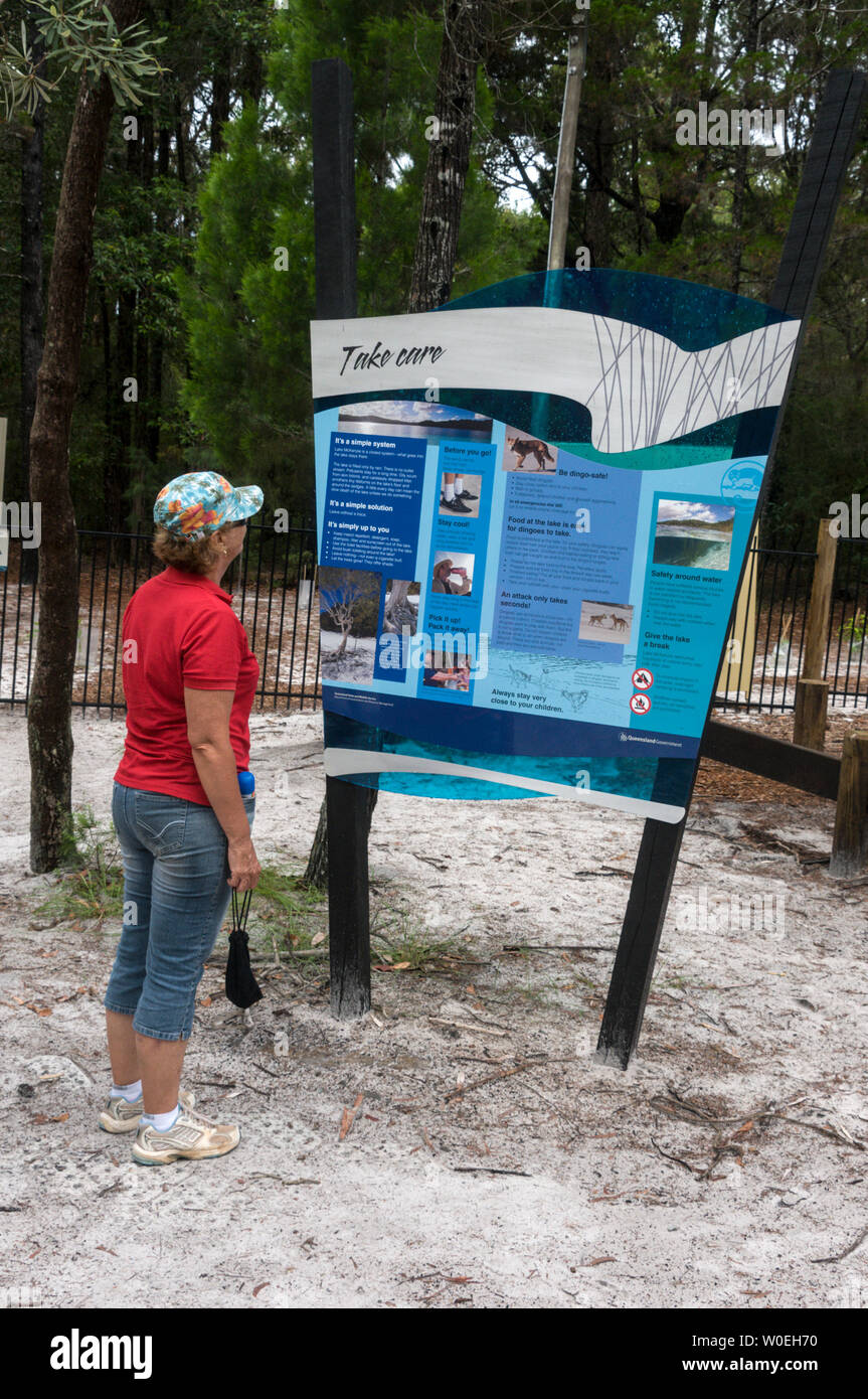 A tourist studies one of the many local information  signs on Fraser Island off the coast of Queensland, Australia  Fraser Island is a World Heritage Stock Photo