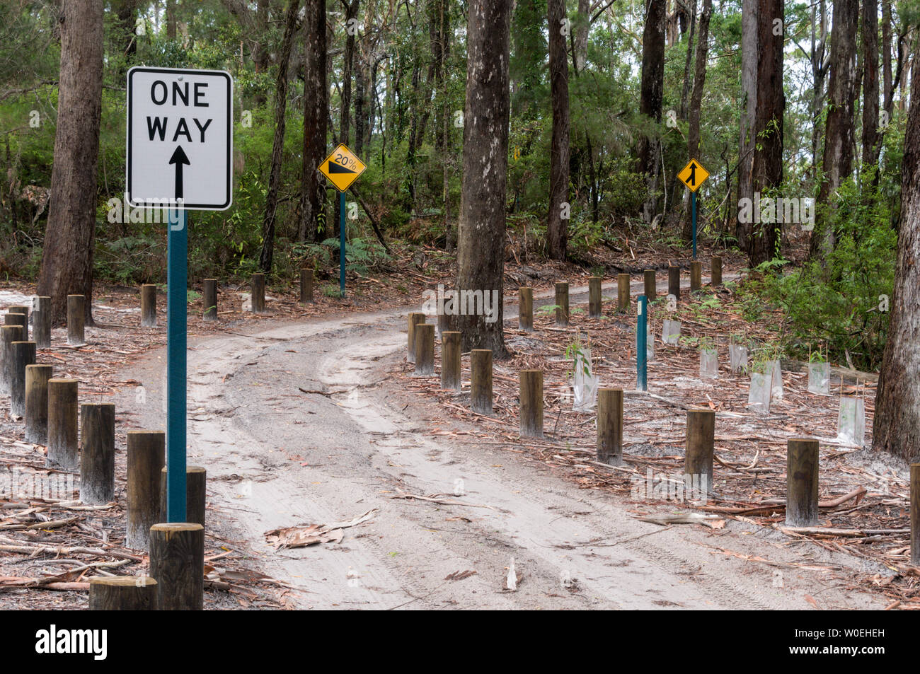 Road signs on a sandy track in the rain forest on Fraser Island off the coast of Queensland, Australia  Fraser Island is a World Heritage site and is Stock Photo