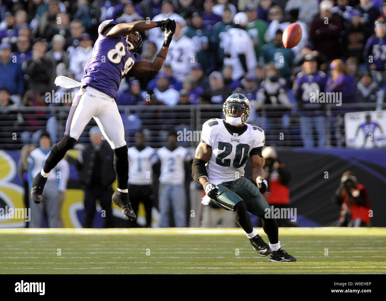 Baltimore Ravens wide receiver Mark Clayton misses a completion as Philadelphia Eagles Brian Dawkins provides coverage during the second quarter at M & T Bank Stadium in Baltimore, Maryland on November 23, 2008. (UPI Photo/Kevin Dietsch) Stock Photo