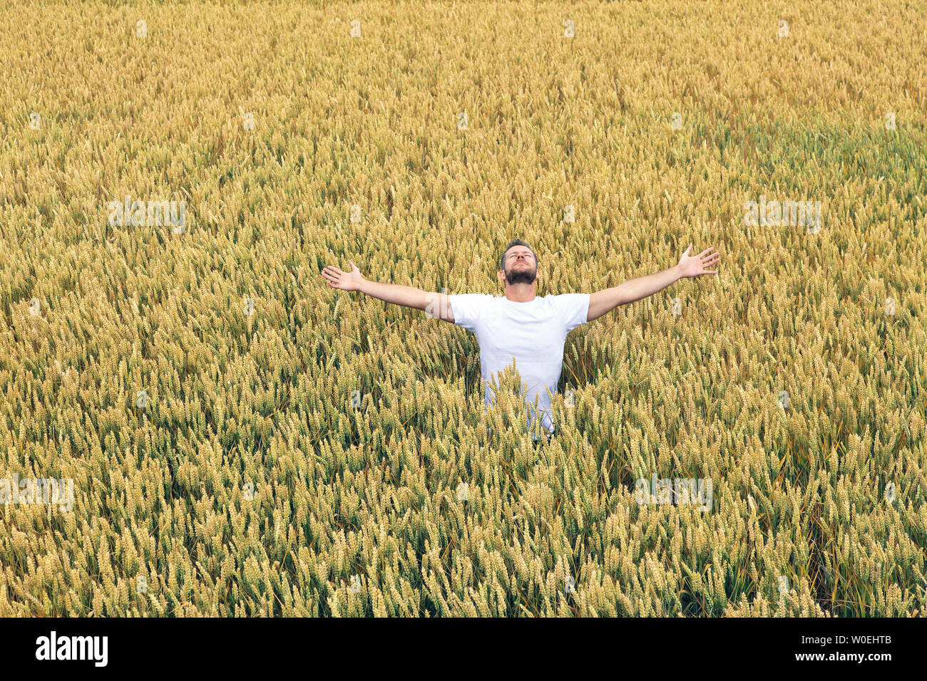 Young man in a wheat field Stock Photo