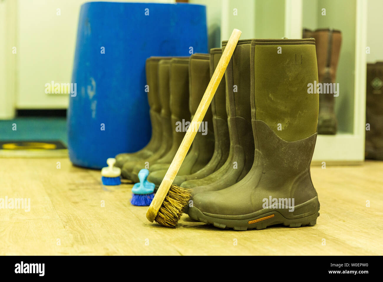 Boot cleaning on Quark Antarctic expedition complies with IAATO biosecurity guidelines to prevent transfer of alien species to Antarctic ecosystems Stock Photo