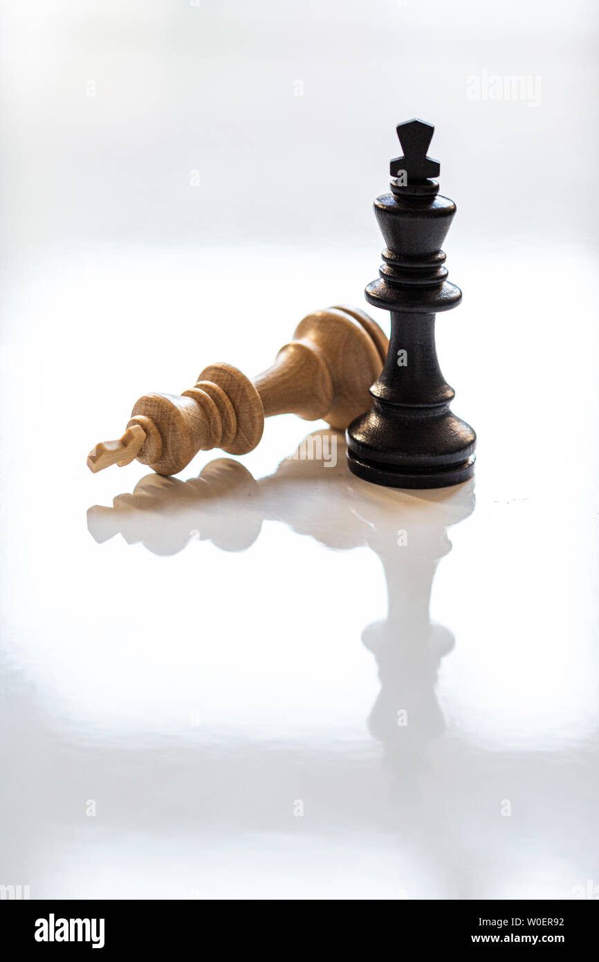 brown and black chess piece on white background with reflection. white chess piece is fallen. Stock Photo