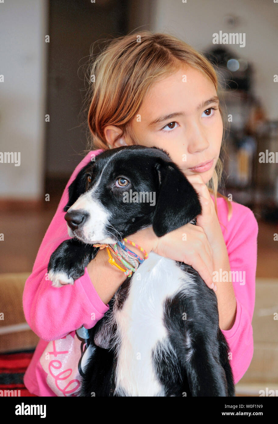 Eight-year-old girl holding her puppy (Border collie) Stock Photo
