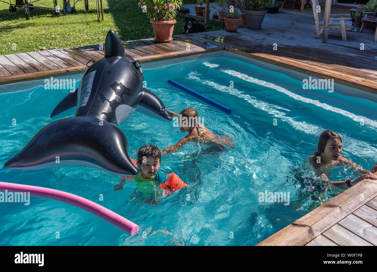 Eleven-year-old girl and two boys of  five years old and thirteen years old playing in a private swimming pool Stock Photo