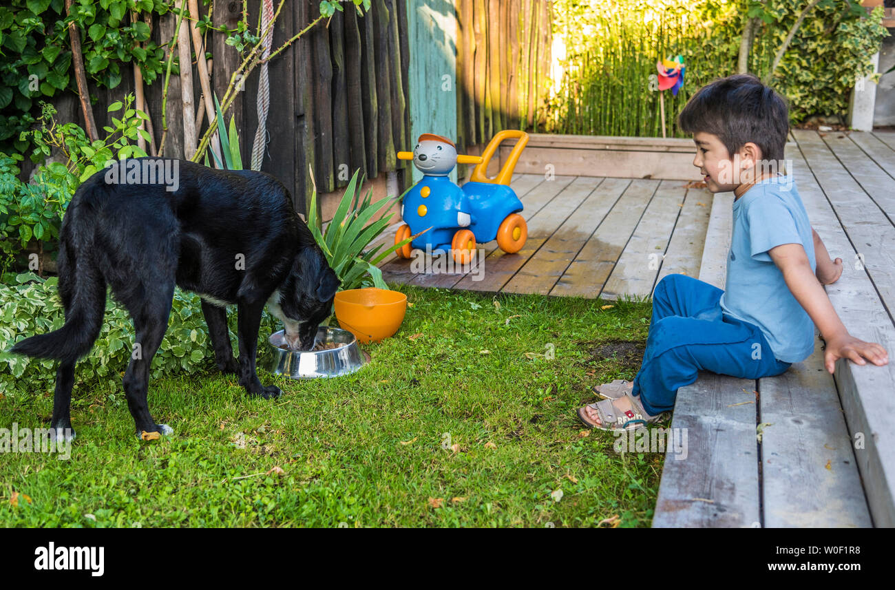 Fiveyearold boy watching a dog who is eating Stock Photo Alamy