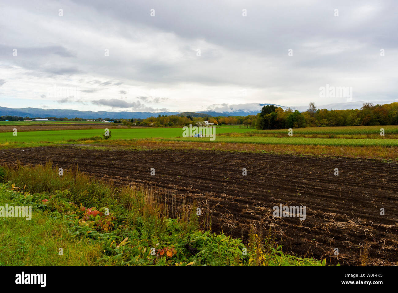 Walk along the Kussharo lake, Hokkaido, Japan Stock Photo - Alamy