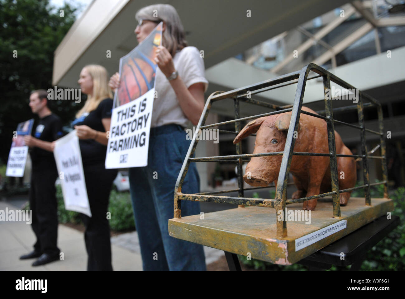 Members of PETA (People for the Ethical Treatment of Animals) protest against 'factory' pig farming outside of the International Swine Flu Conference in Washington on August 19, 2009.  UPI/Kevin Dietsch Stock Photo