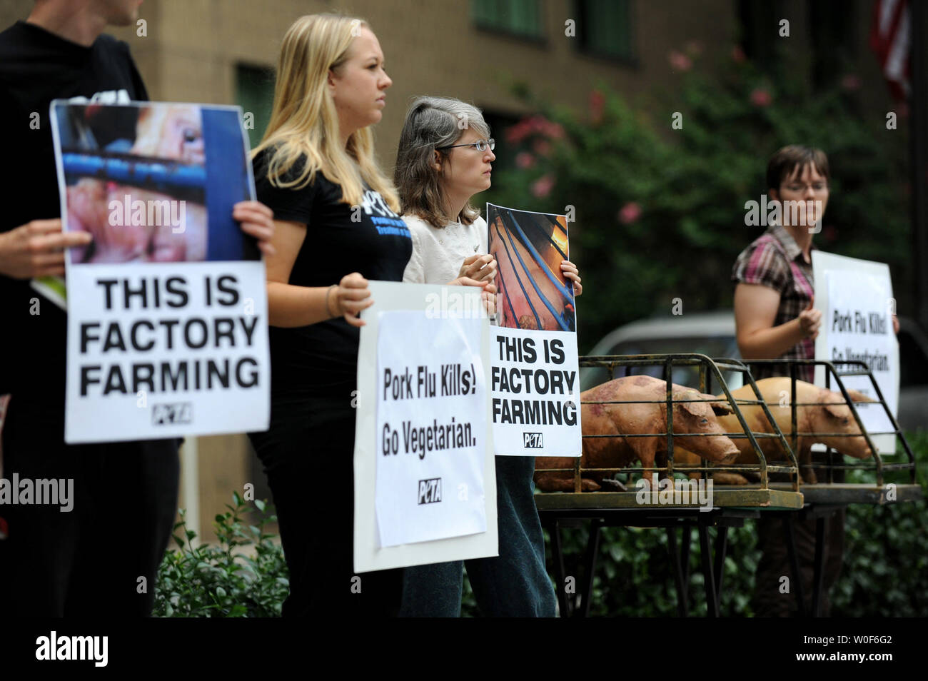 Members of PETA (People for the Ethical Treatment of Animals) protest against 'factory' pig farming outside of the International Swine Flu Conference in Washington on August 19, 2009.  UPI/Kevin Dietsch Stock Photo