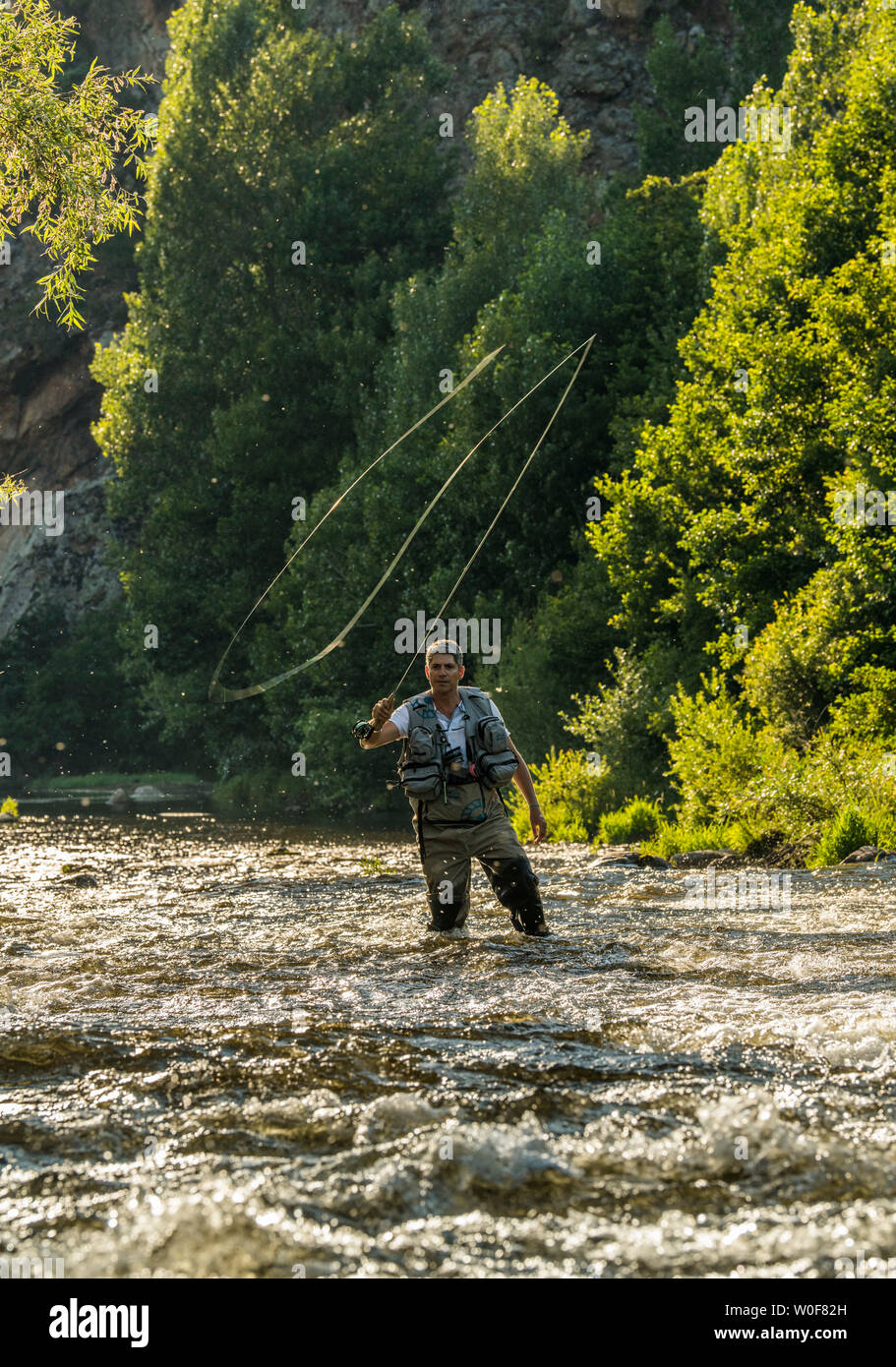 fisher fly rod