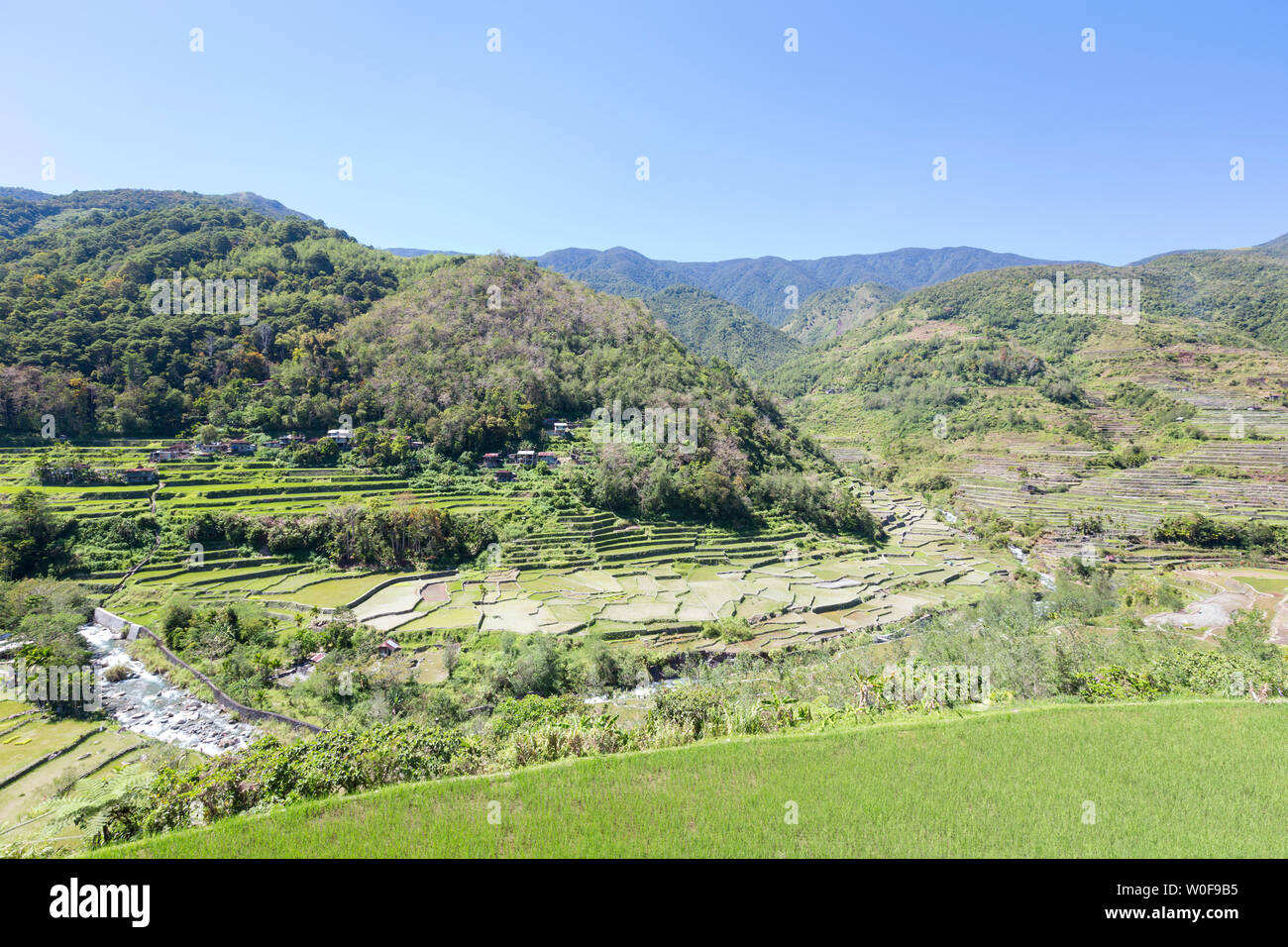 Hapao rice terraces, near Banaue, Philippines Stock Photo