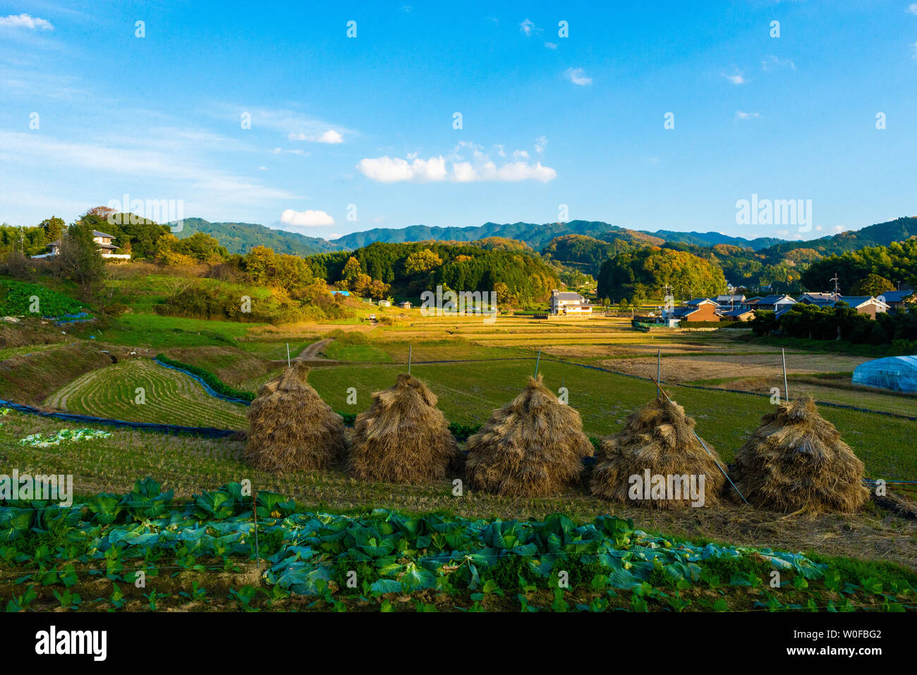 Asuka, first imperial capital recorded, Nara prefecture, Kansai, Honshu, Japan. Stock Photo