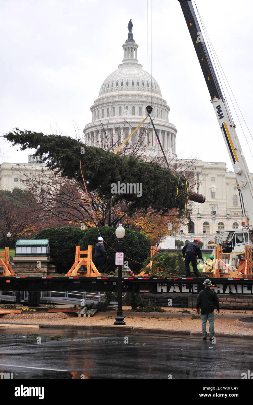 The Capitol Christmas Tree is unloaded on the west front of the U.S