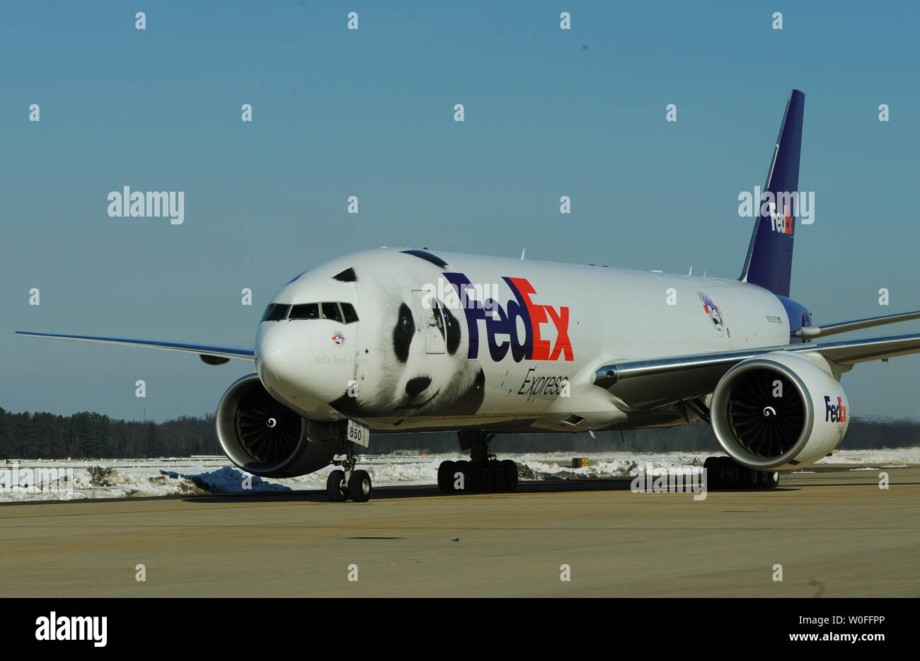 A FedEx Express 777 Freighter airplane arrives to transport Tai Shan, a 4 year old male giant panda, at Dulles Airport in Dulles, Virginia on February 4, 2010. Tai Shan and another 3 year old female panda, Mei Lan, from the Atlanta Zoo, will be transported on the 'FedEx Panda Express' to Chengdu, China to join the country's breeding and conservation program. Both pandas are owned by the Chinese government and were leased to the United States. UPI/Alexis C. Glenn. Stock Photo