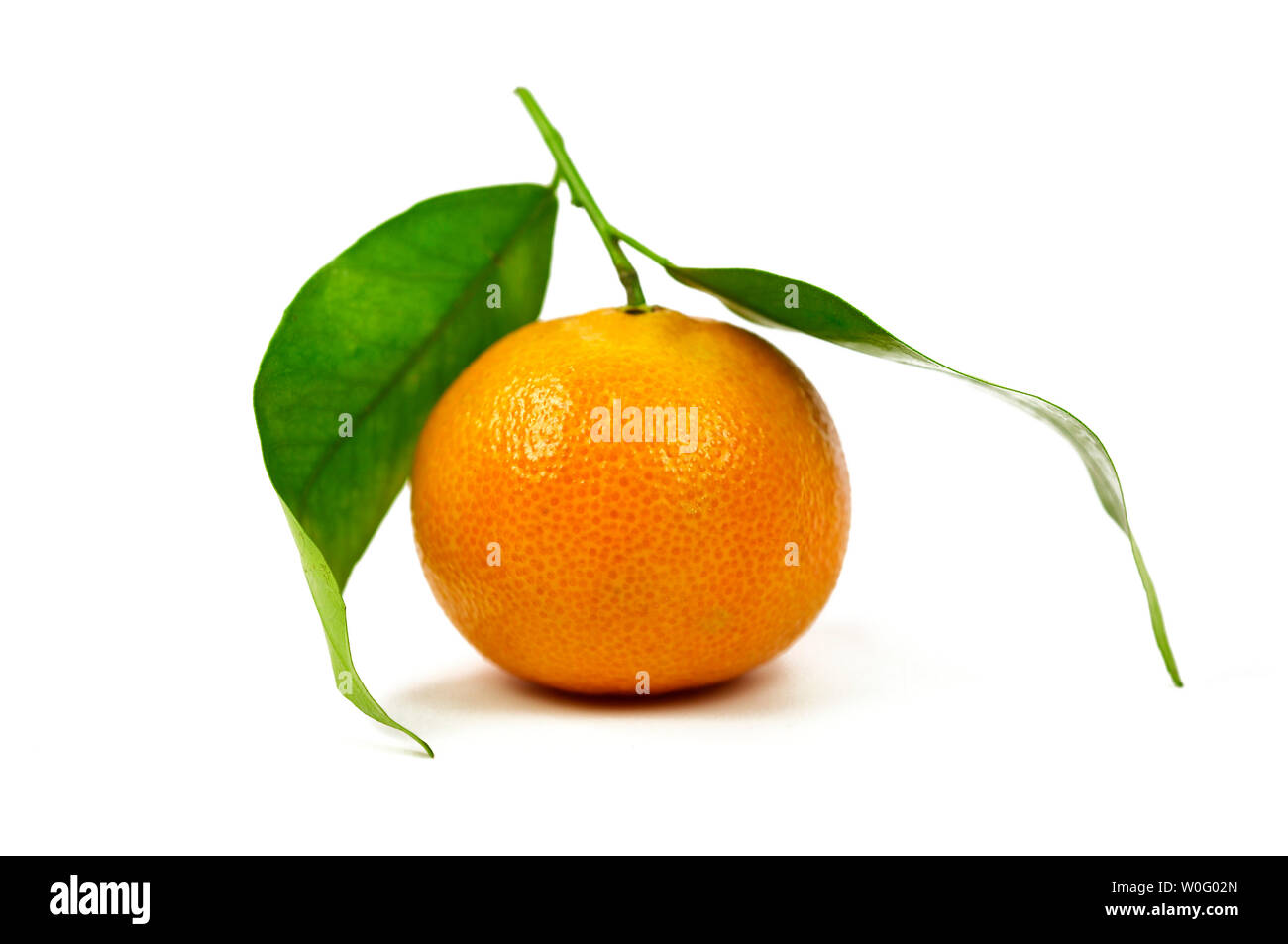 clementine, clementines, citrus, orange, oranges, fruit, juicy, juice